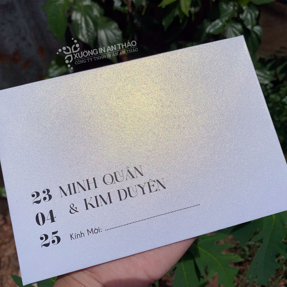 Thiệp Cưới Đơn Sắc - Bao Thư nhiều màu ATD04